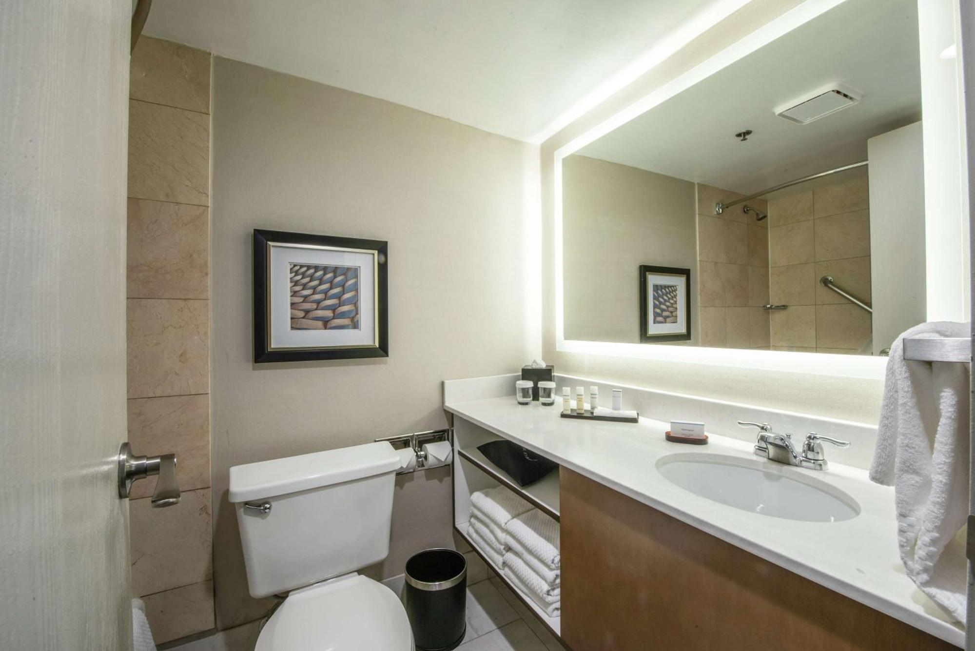 Embassy Suites By Hilton Chicago Schaumburg Woodfield Extérieur photo